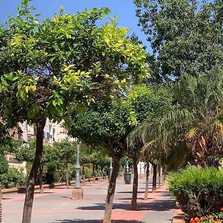 Excellent In In Local Area Apartment